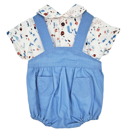 Ranita peto azul océano (1 a 18 meses)