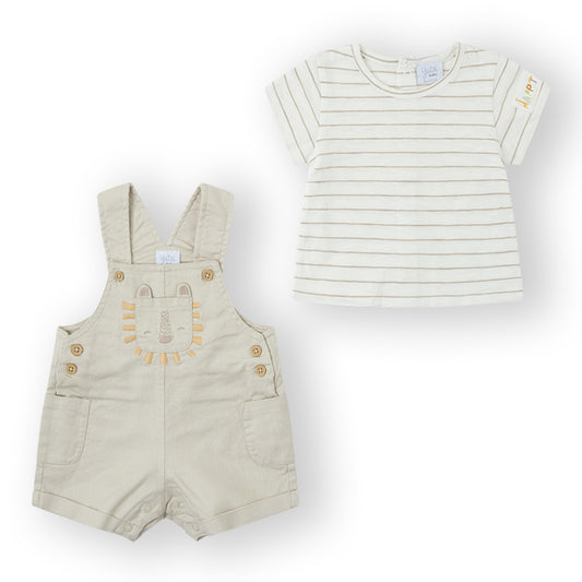 Peto bebé (1 a 18 meses)