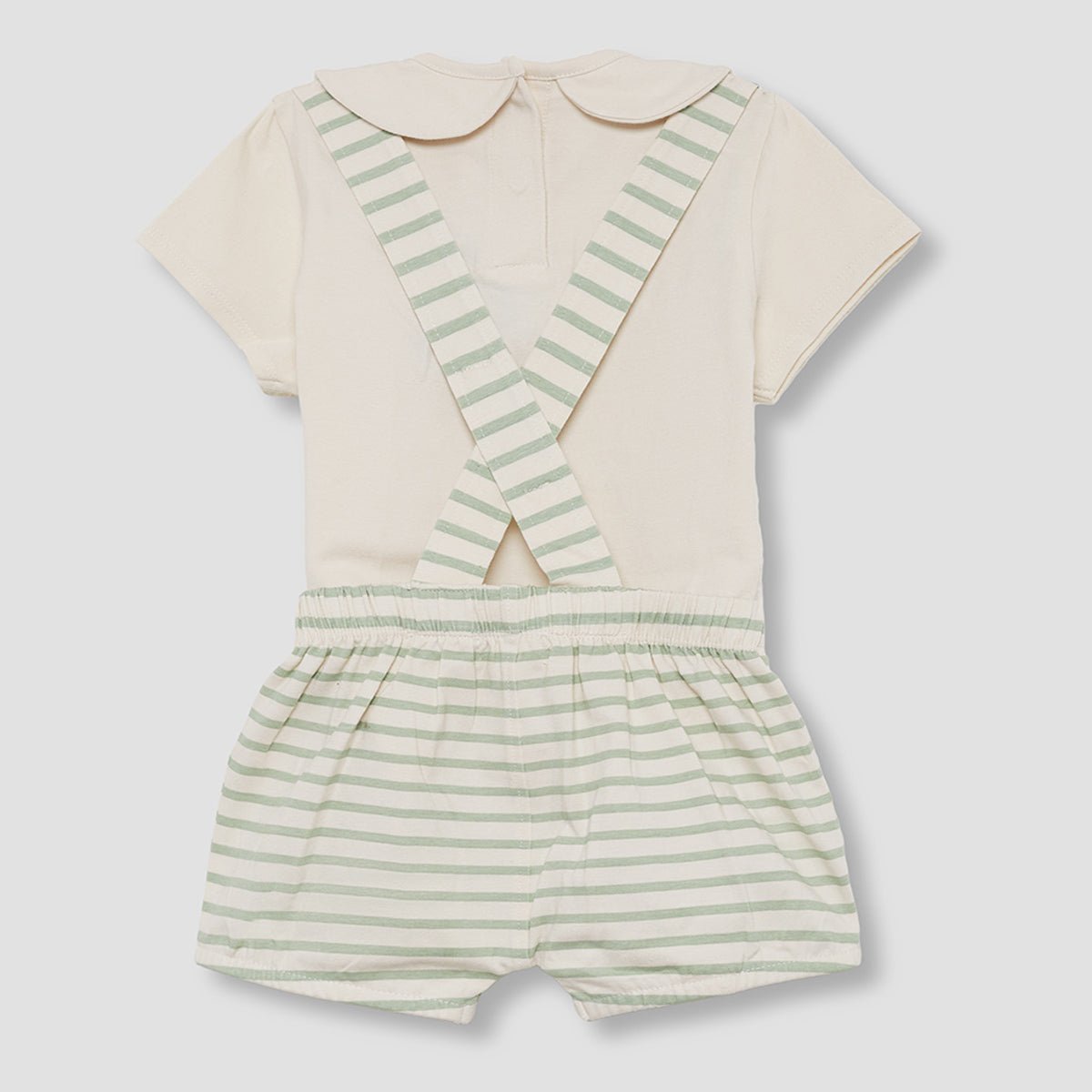 Ranita elefante (1 a 24 meses)