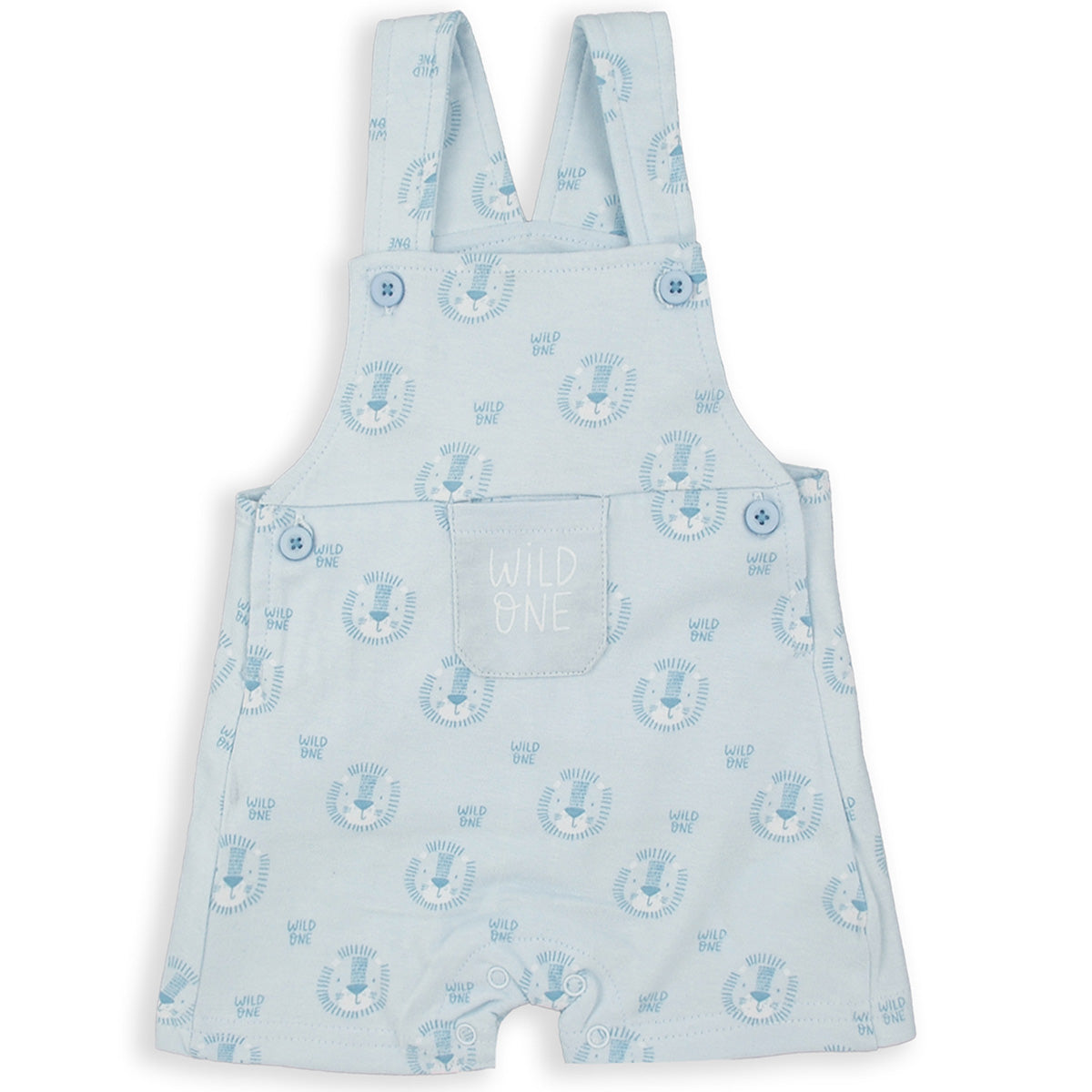 Peto celeste (1 a 18 meses)