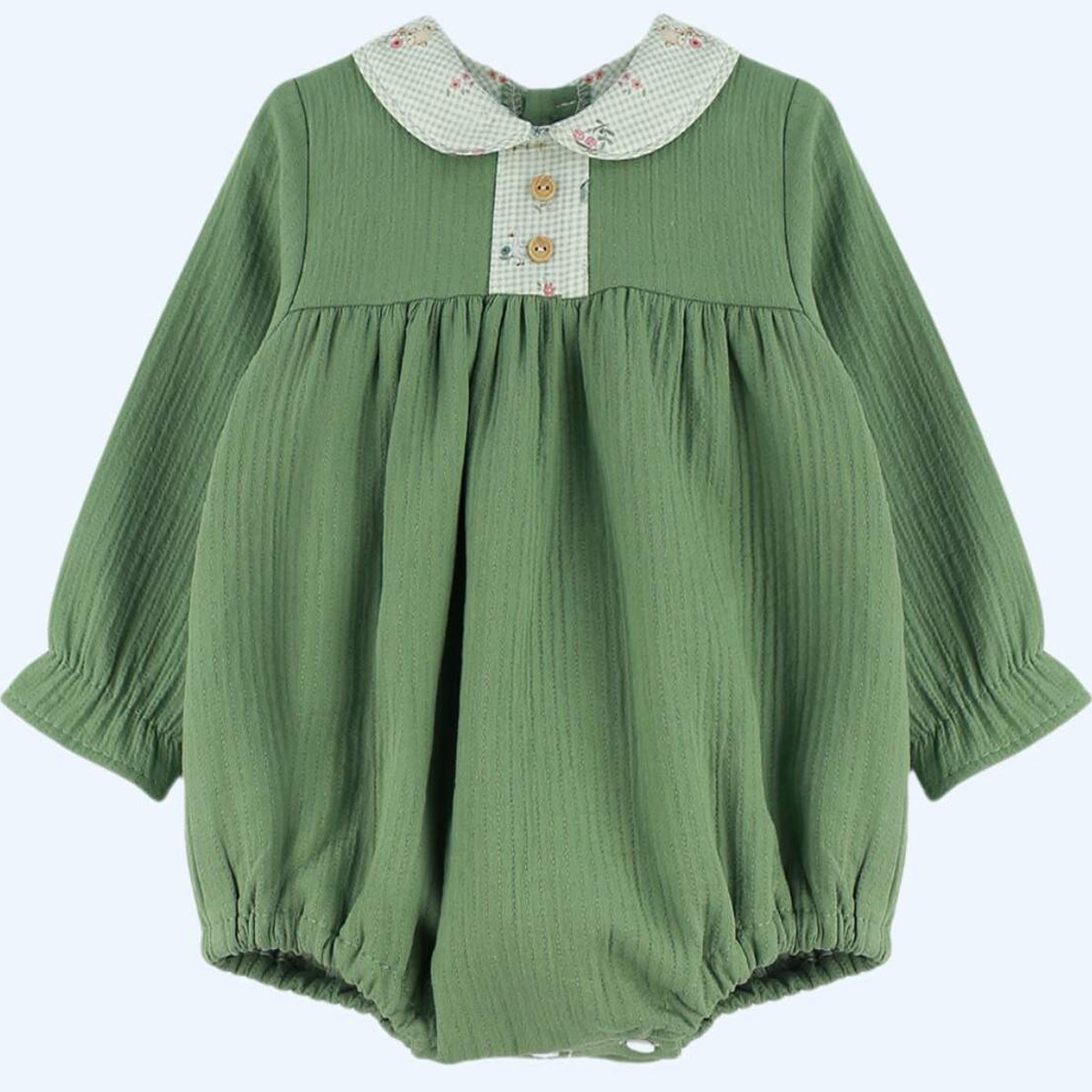 Ranita verde granja (1 a 12 meses)