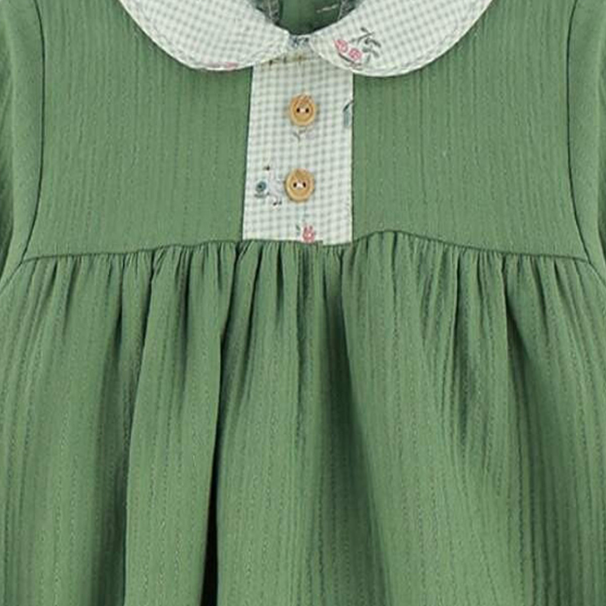 Ranita verde granja (1 a 12 meses)