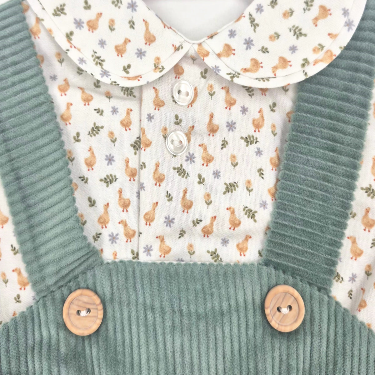 Conjunto peto (1 a 18 meses)