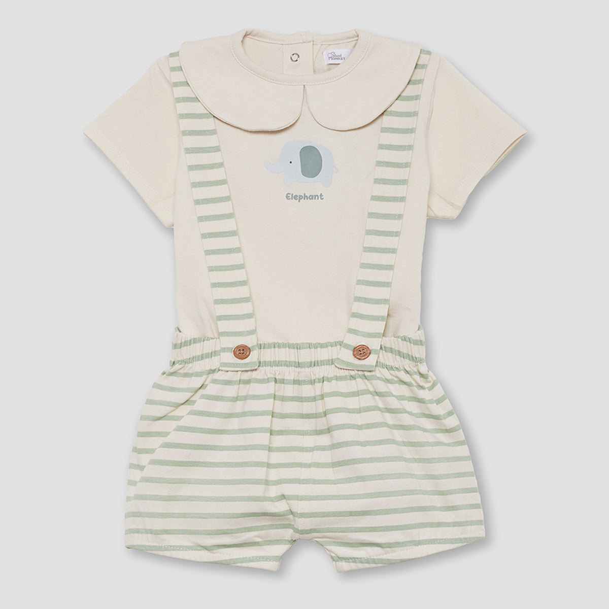 Ranita elefante (1 a 24 meses)