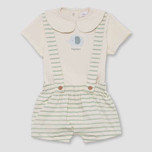 Ranita elefante (1 a 24 meses)