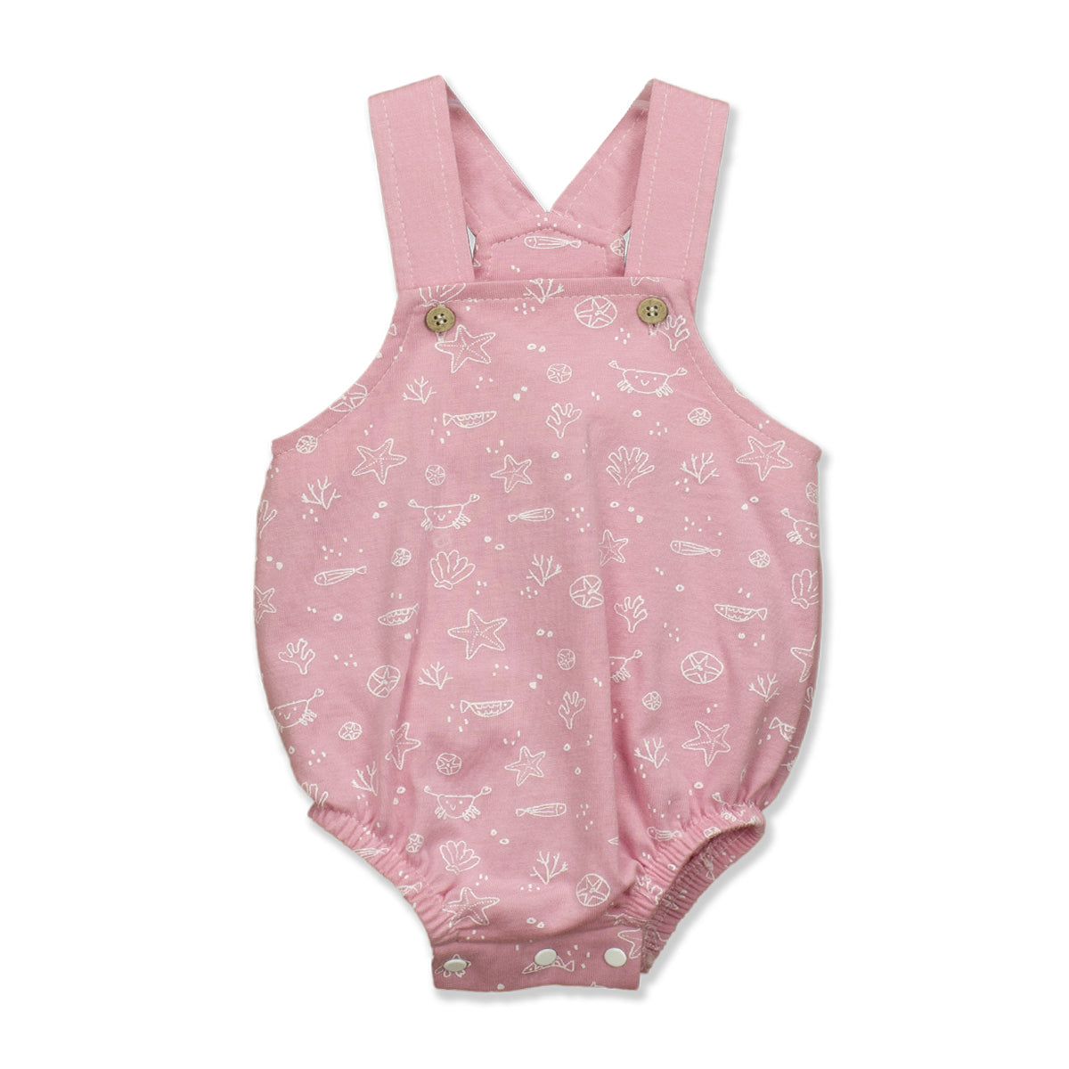 Ranita verano (0 a 9 meses)