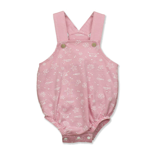 Ranita verano (0 a 9 meses)